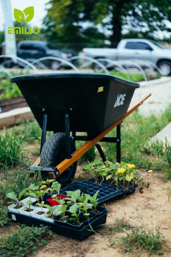 Jardinería